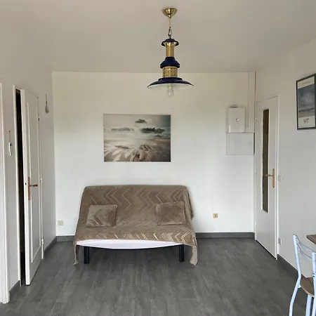 Apartment 2 Pieces Avec Balcon A Deux Pas De La Plage, Wifi Et Parking